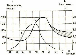 Усредненные значения яйценоскости матки (А) и силы семьи (Б) при нормальном медосборе